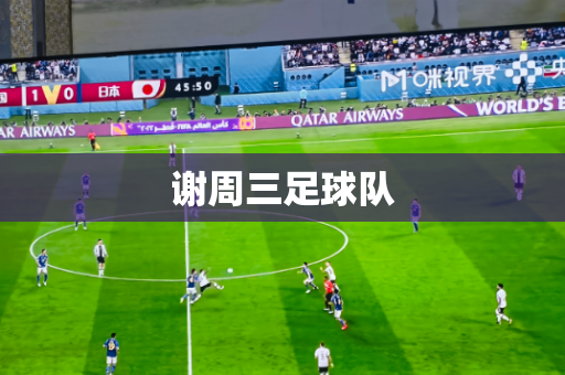 谢周三足球队