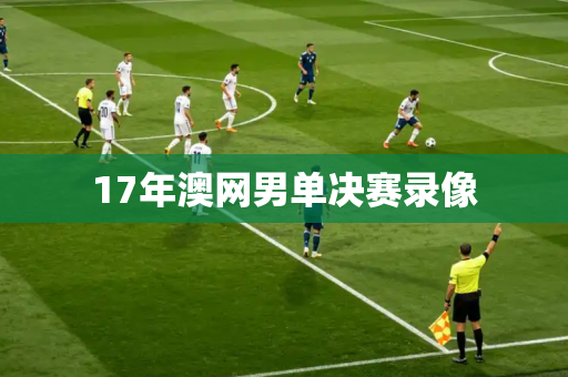17年澳网男单决赛录像
