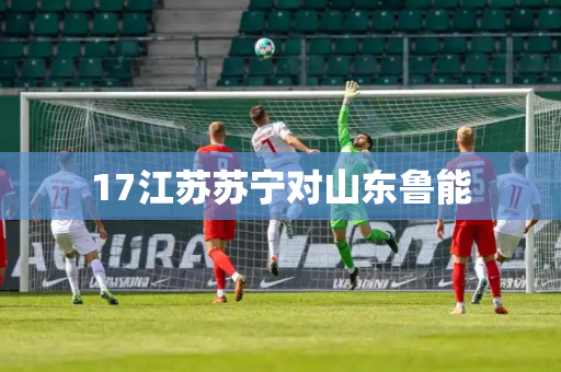 17江苏苏宁对山东鲁能
