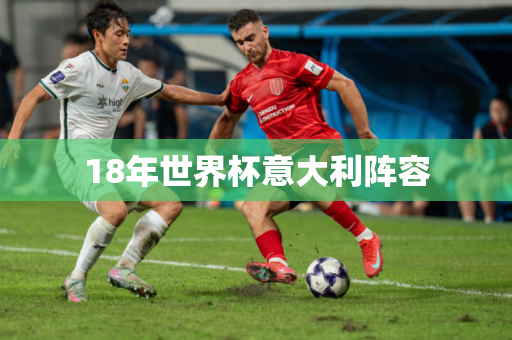 18年世界杯意大利阵容