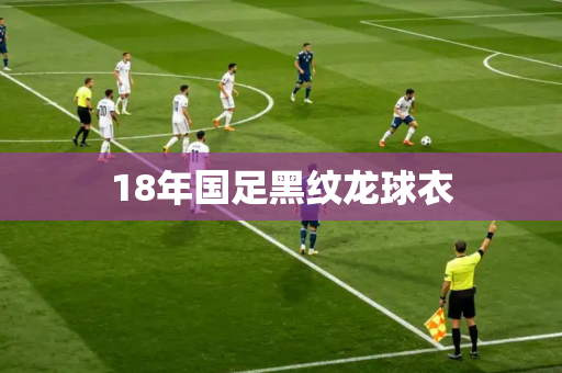 18年国足黑纹龙球衣 18年国足黑纹龙球衣
