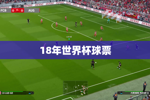 18年世界杯球票