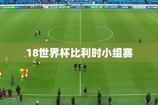 18世界杯比利时小组赛