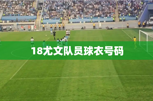 18尤文队员球衣号码
