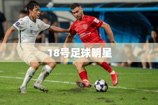 18号足球明星