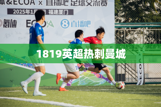 1819英超热刺曼城