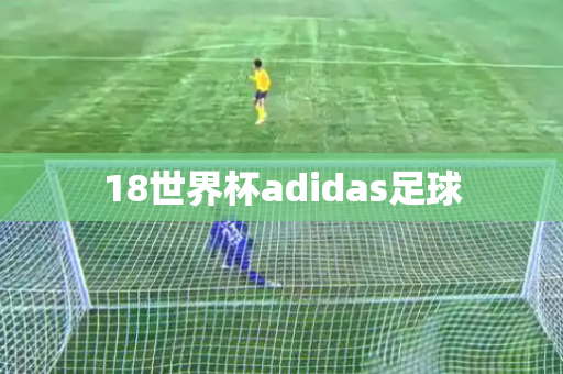 18世界杯adidas足球