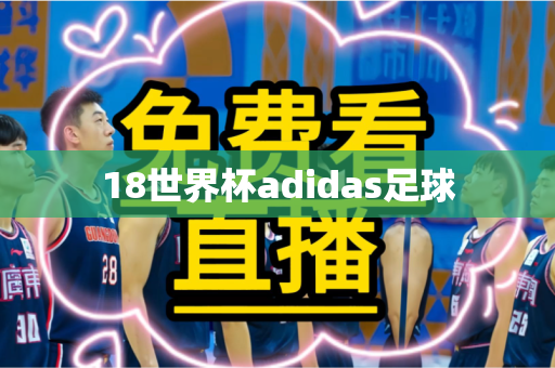 18世界杯adidas足球