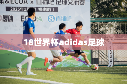 18世界杯adidas足球