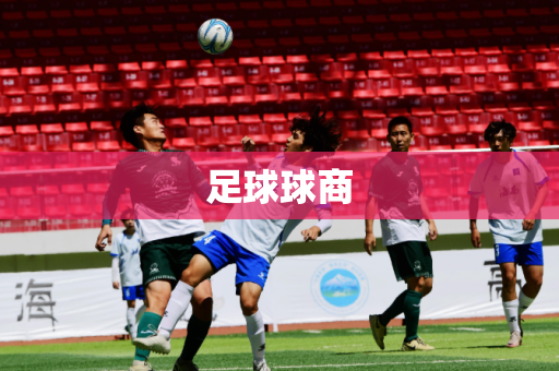 足球球商