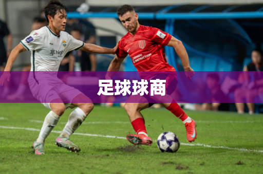 足球球商
