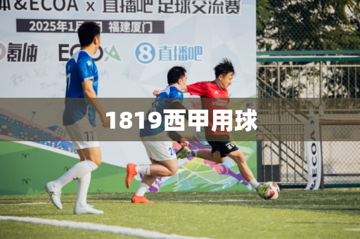 1819西甲用球 1819西甲用球