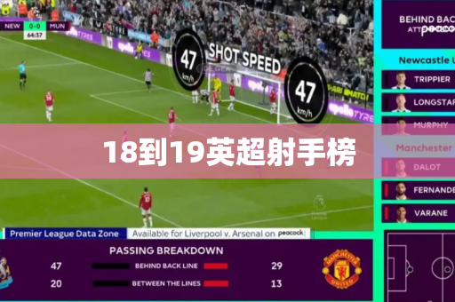 18到19英超射手榜