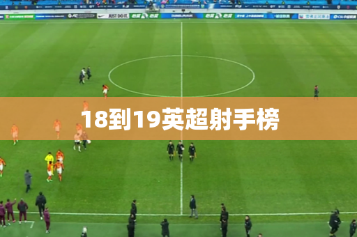 18到19英超射手榜