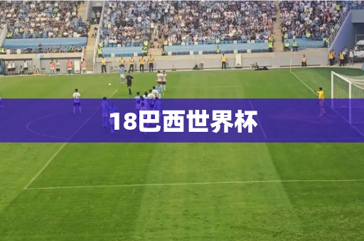 18巴西世界杯