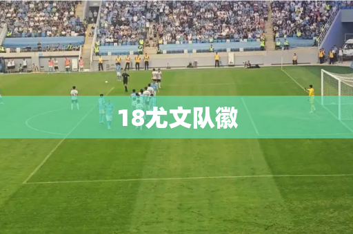 18尤文队徽
