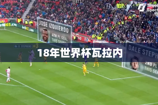 18年世界杯瓦拉内 18年世界杯瓦拉内