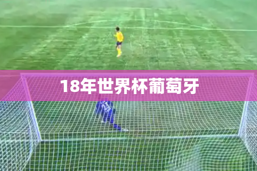 18年世界杯葡萄牙
