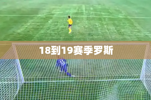 18到19赛季罗斯 18到19赛季罗斯