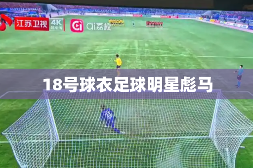 18号球衣足球明星彪马 18号球衣足球明星彪马