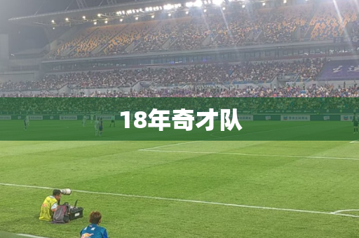 18年奇才队