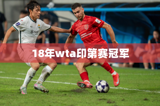 18年wta印第赛冠军