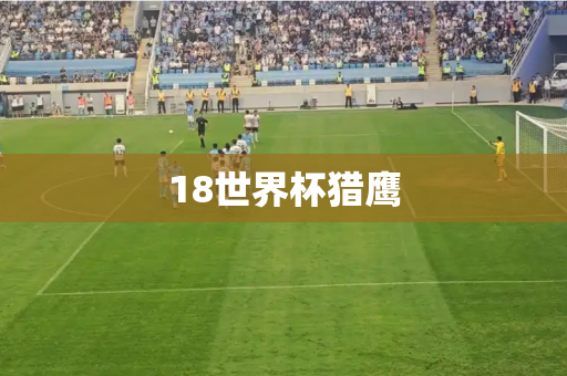 18世界杯猎鹰 18世界杯猎鹰