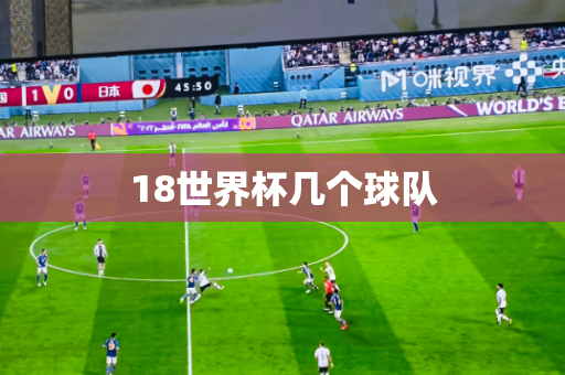 18世界杯几个球队 18世界杯几个球队