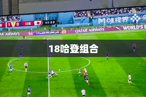 18哈登组合 18哈登组合