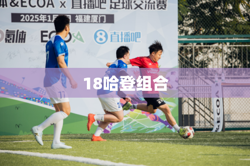 18哈登组合 18哈登组合