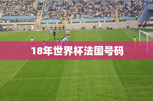 18年世界杯法国号码 18年世界杯法国号码