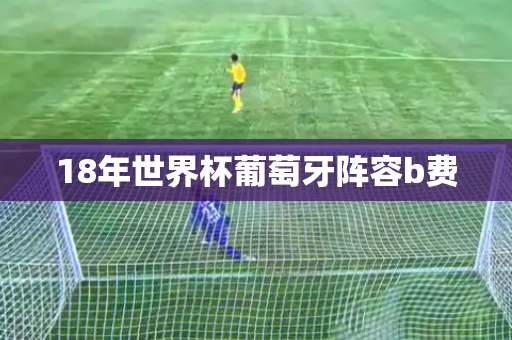 18年世界杯葡萄牙阵容b费