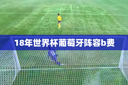 18年世界杯葡萄牙阵容b费