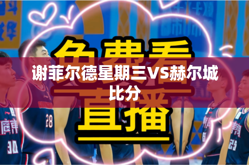 谢菲尔德星期三VS赫尔城比分 谢菲尔德星期三VS赫尔城比分