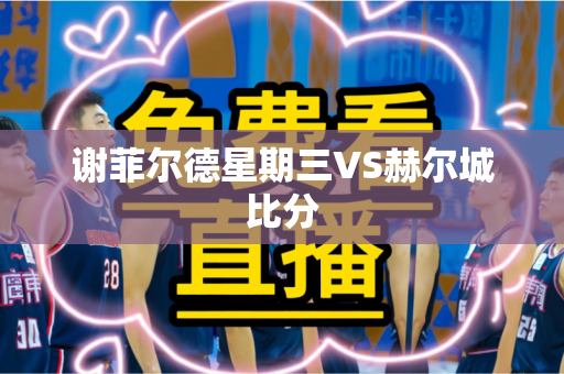 谢菲尔德星期三VS赫尔城比分