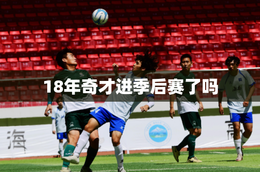 18年奇才进季后赛了吗 18年奇才进季后赛了吗