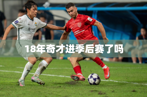 18年奇才进季后赛了吗