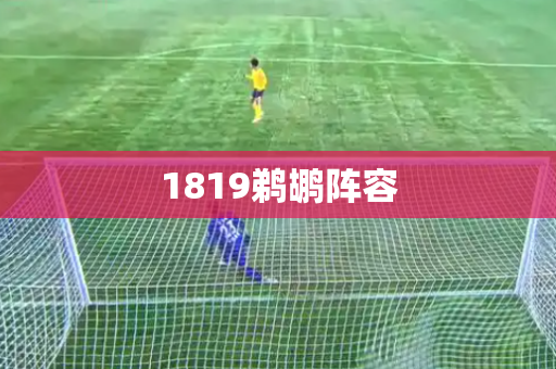 1819鹈鹕阵容
