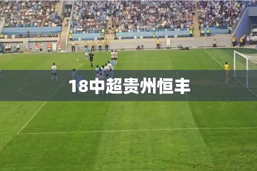 18中超贵州恒丰 18中超贵州恒丰