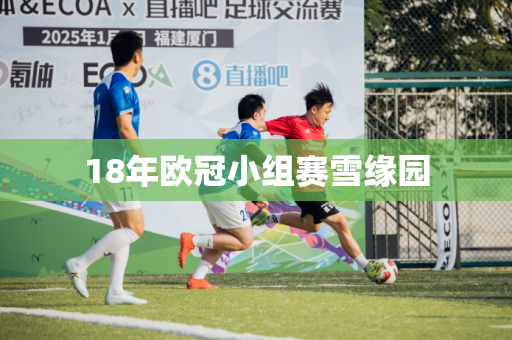 18年欧冠小组赛雪缘园 18年欧冠小组赛雪缘园
