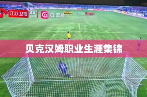 贝克汉姆职业生涯集锦