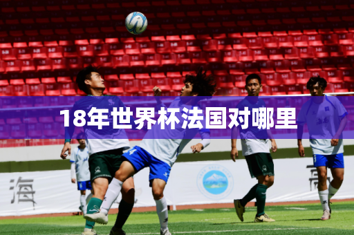 18年世界杯法国对哪里 18年世界杯法国对哪里