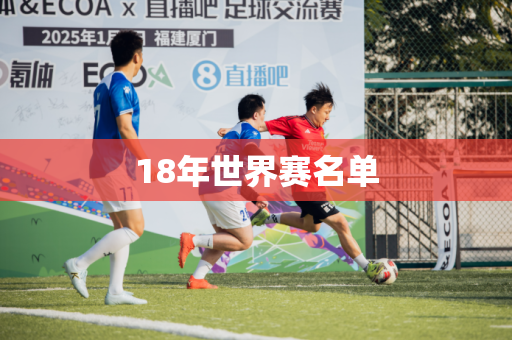 18年世界赛名单