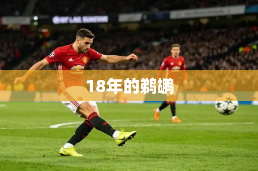 18年的鹈鹕 18年的鹈鹕