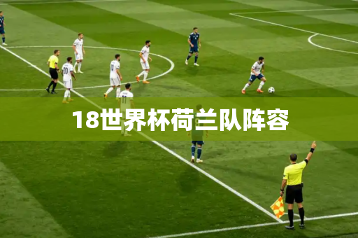 18世界杯荷兰队阵容