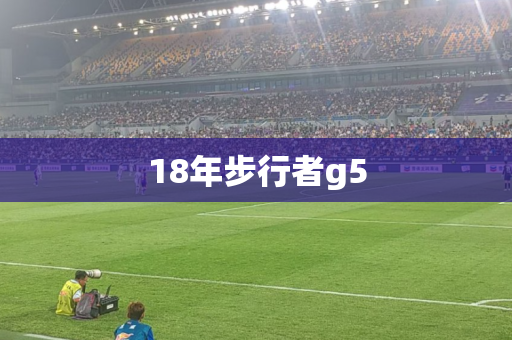 18年步行者g5