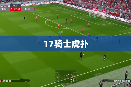 17骑士虎扑