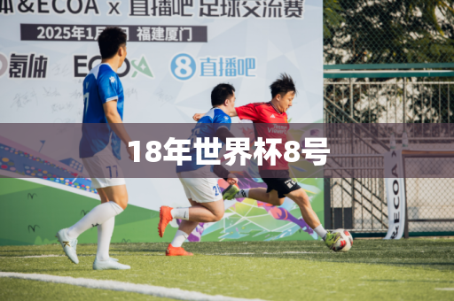 18年世界杯8号