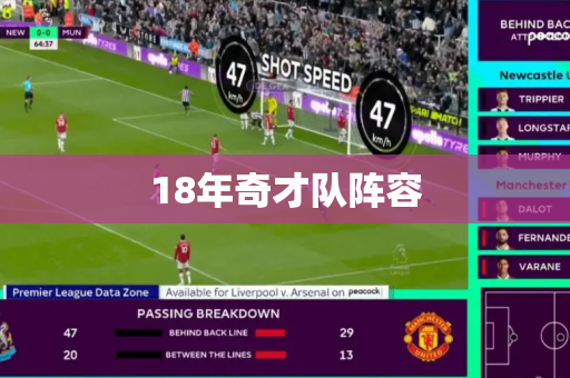 18年奇才队阵容