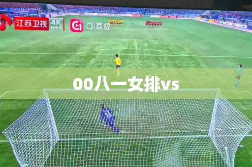 00八一女排vs 00八一女排vs
